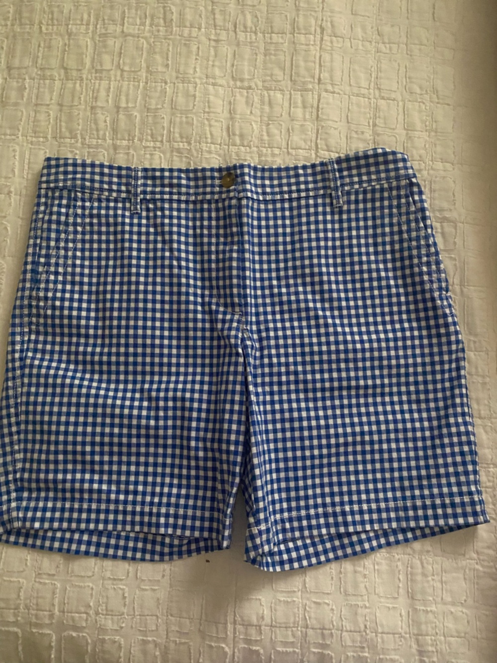 Talbots Blue and White Gingham Women's Shorts
